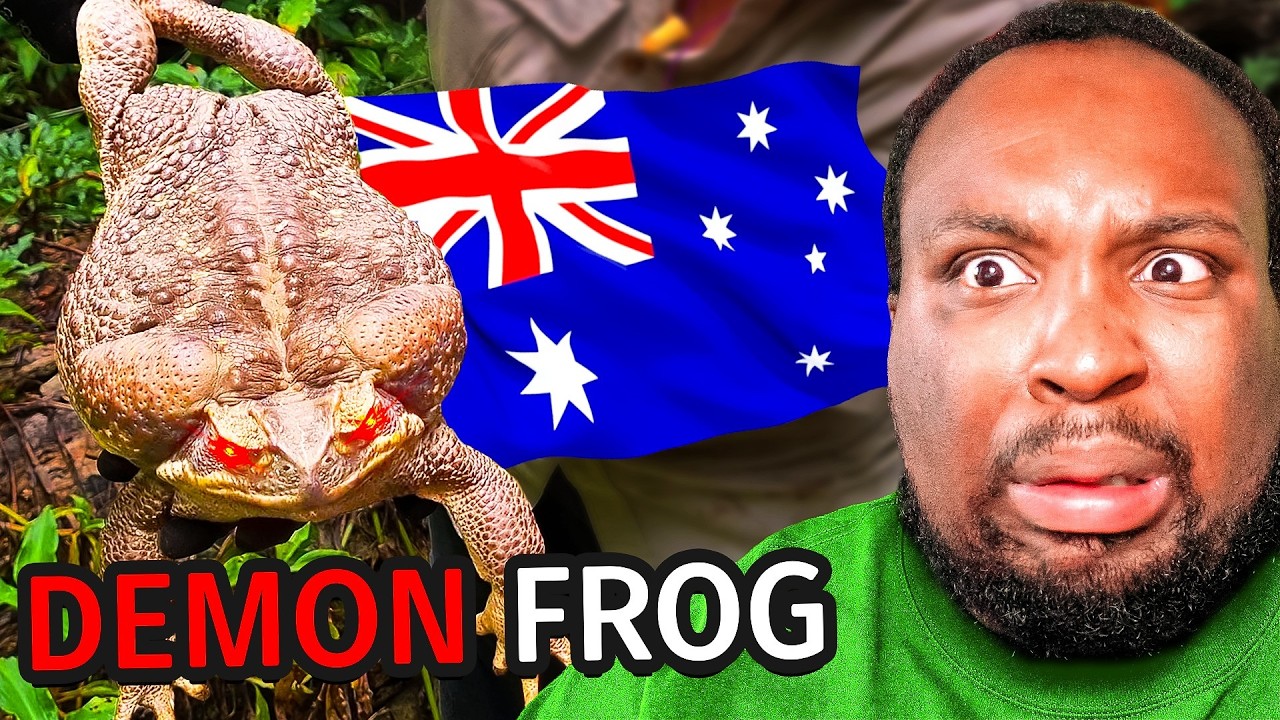 The Deadliest Animal in Australia is NOT what you think...