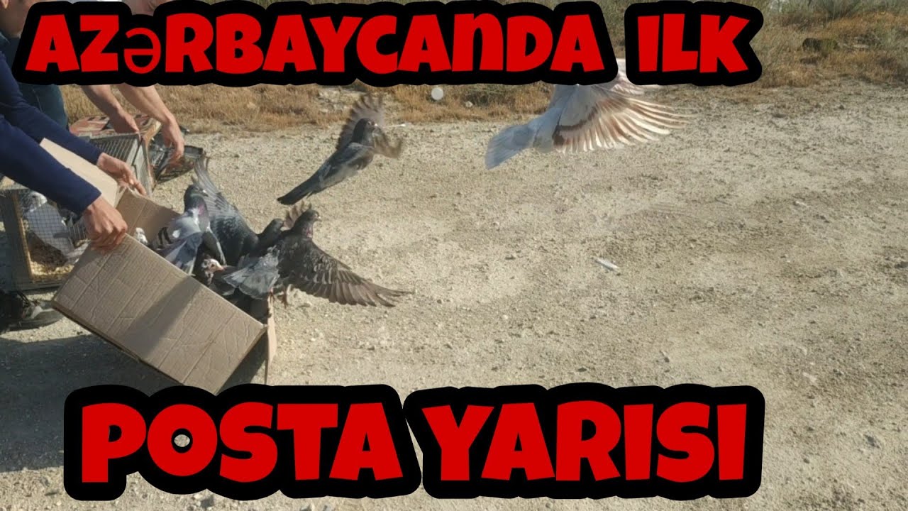 Azərbaycanda ilk posta (drakon) yarisi. Postalari 22km buraxdiq. 27.05.2020