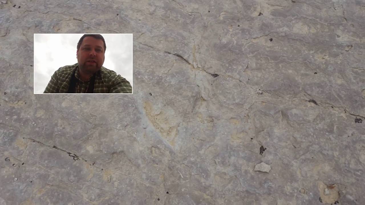 Walk the Dinosaur: Footprints at Red Gulch Dinosaur Tracksite