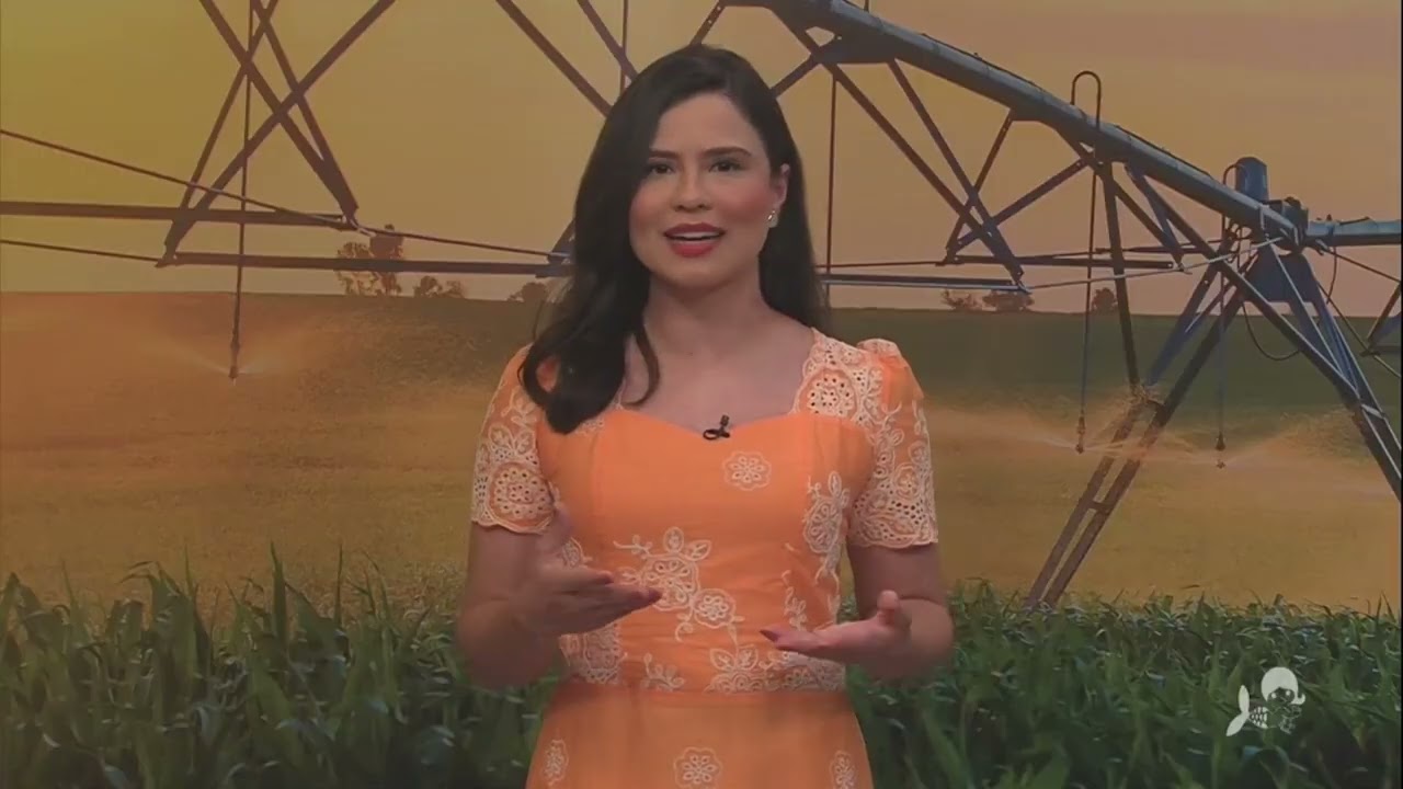 Nordeste Rural 15/02/2026