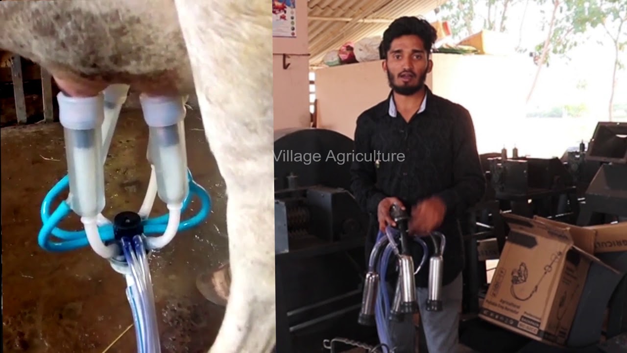 తక్కువ ధరలో మిల్క్ మిషిన్ | Low Cost Milking Machine Working And Price Details Telugu 2020 |VGN Agro