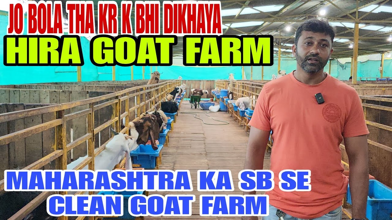 Jo Bole The Wo Kar K Bhi Dikhaye Hira Goat Farm New Mumbai Panvel