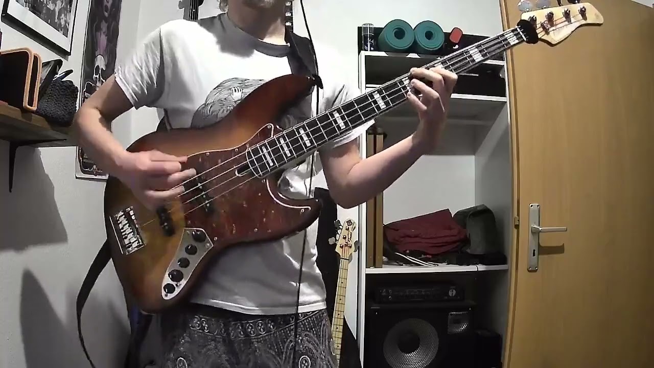 Oh Sees - Animated Violence [Bass Cover]