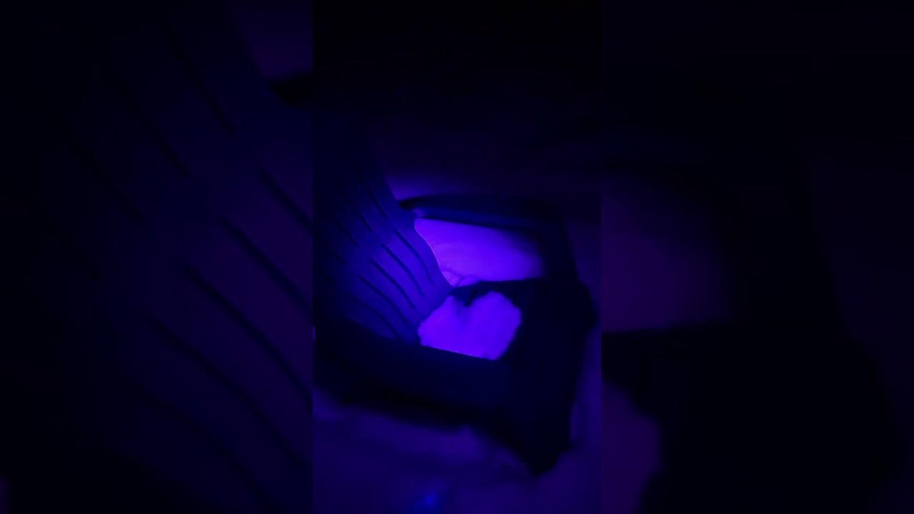 Indigo Night Walk