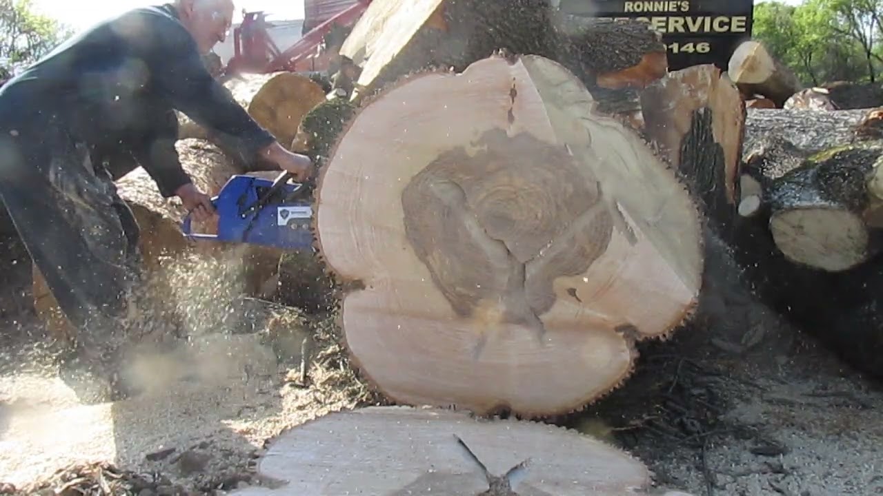 HOLZFFORMA G888, 48 INCH BAR. CUTTING HUGE FIREWOOD ROUND