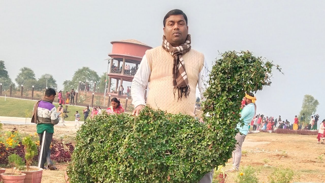 Title:राशियों पर नहीं, अपनी मेहनत पर विश्वास रखो | सफलता का असली मंत्र