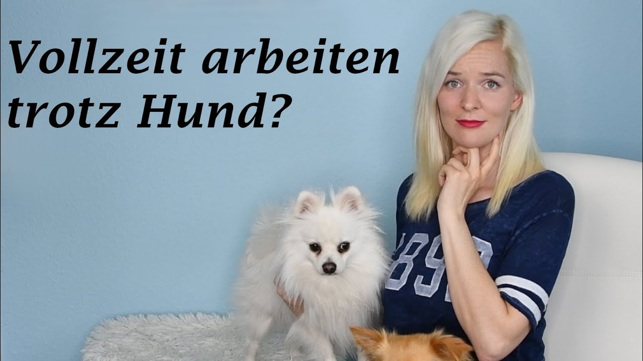 Vollzeit arbeiten trotz Hund - Geht das? // Wie viel Zeit sollte ich mit meinem Hund verbringen?
