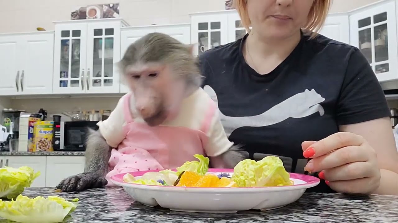 Ужинаем с гамадрилками 😁 сначала Луна , затем Ники , смотреть до конца 🤣🤣🤣