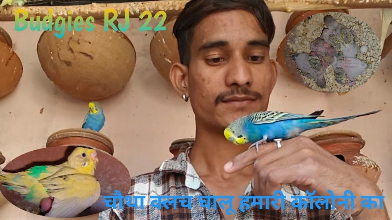 चौथा क्लच देखकर मजा आ जाएगा जल्दी देखे 