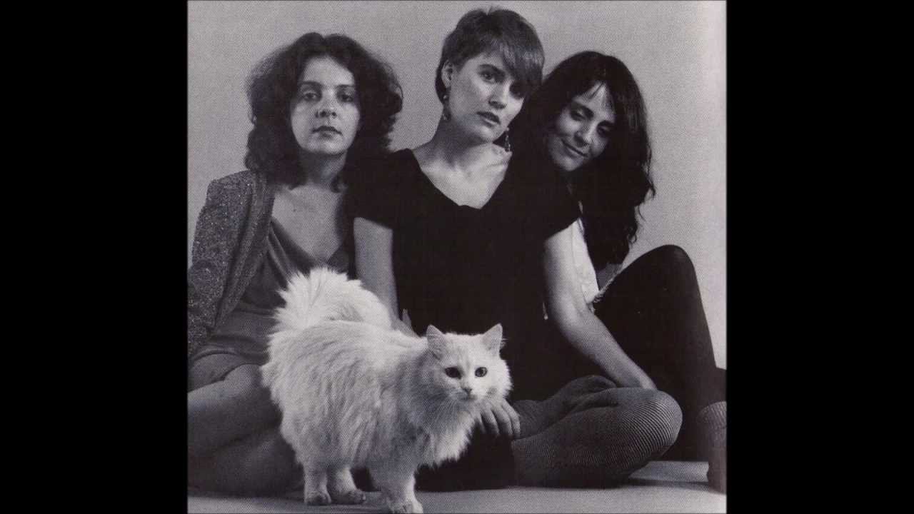 Second Family - The Roches (rare)
