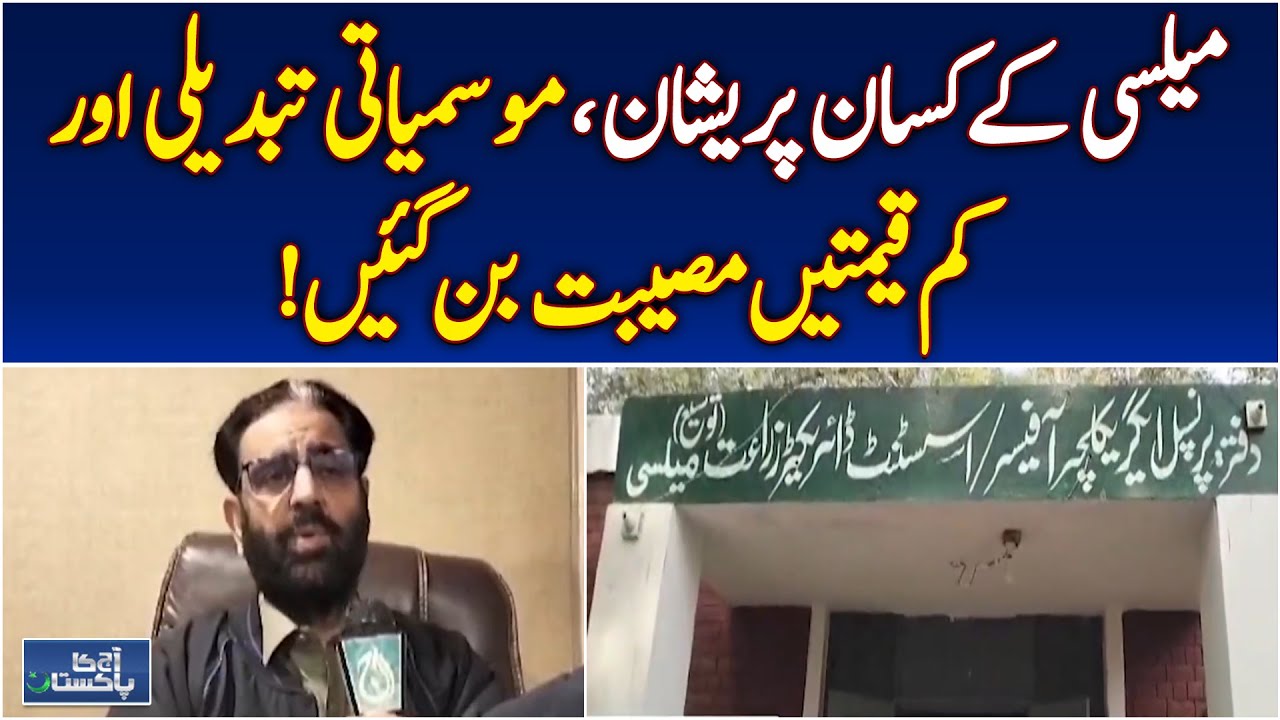 Mailsi Farmers Struggle | Low Vegetable Prices | Climate Change Impact - Aaj Pakistan News