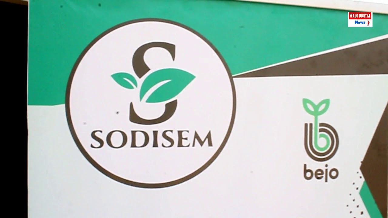 AGRICULTURE: SODISEM BEJO PRESENTE DE NOUVELLES VARIETES D'OIGNONS DANS LE WALO