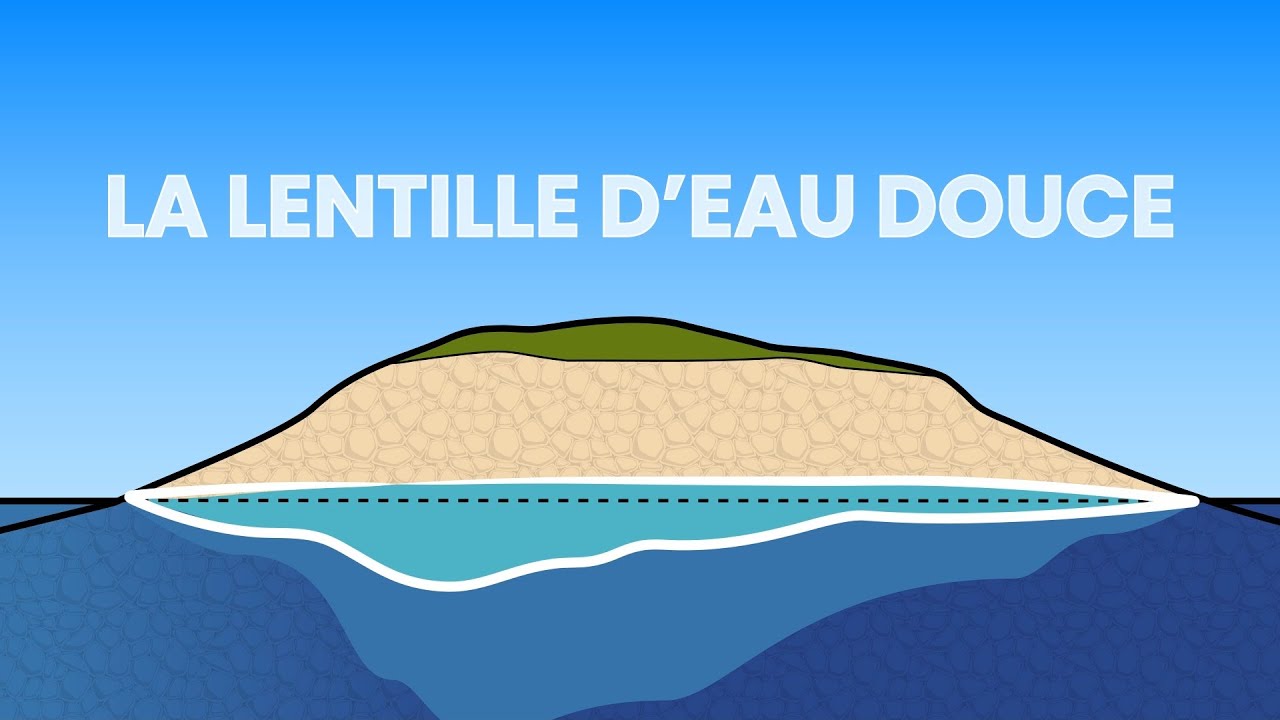 💧 Lentille d&rsquo;eau douce : comment se forme-t-elle ? &ndash; L&rsquo;exemple des atolls de Polyn&eacute;sie fran&ccedil;aise