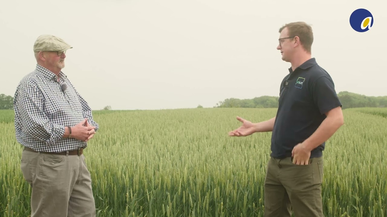 How 3ALO t6p supports emerging crop development
