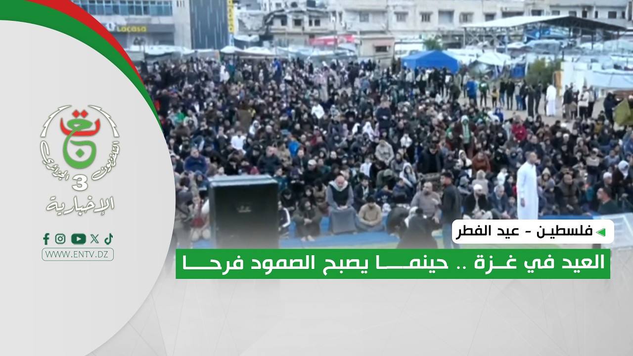 فلسطين - عيد الفطر | العيد في غزة .. حينما يصبح الصمود فرحا