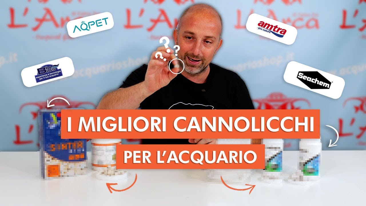 Quali sono i migliori cannolicchi in acquario? 🌿💧
