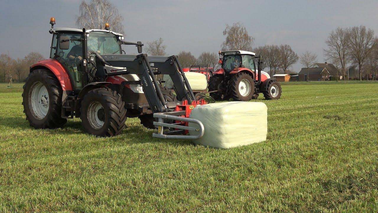 Balen laden met Steyr 6125 Profi Classic en Steyr 4115 Multi + Koeien kijken (2019)
