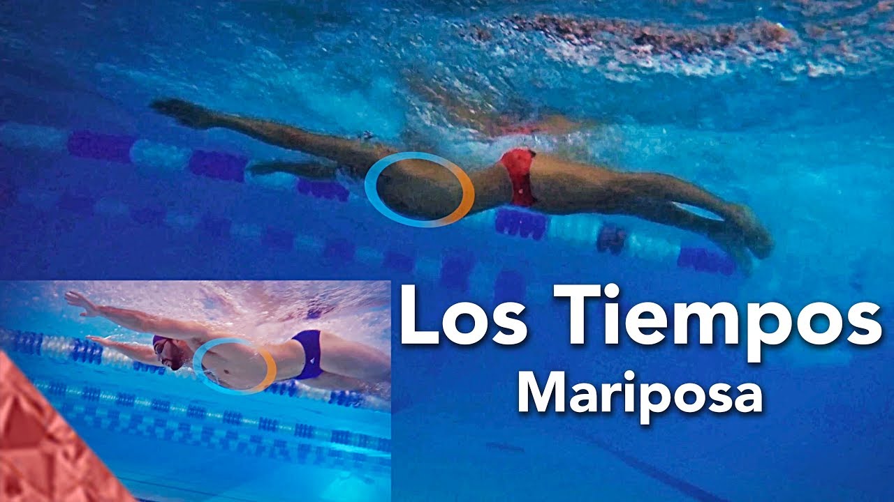 Los tiempos en el estilo de mariposa  Tecnica de principiantes