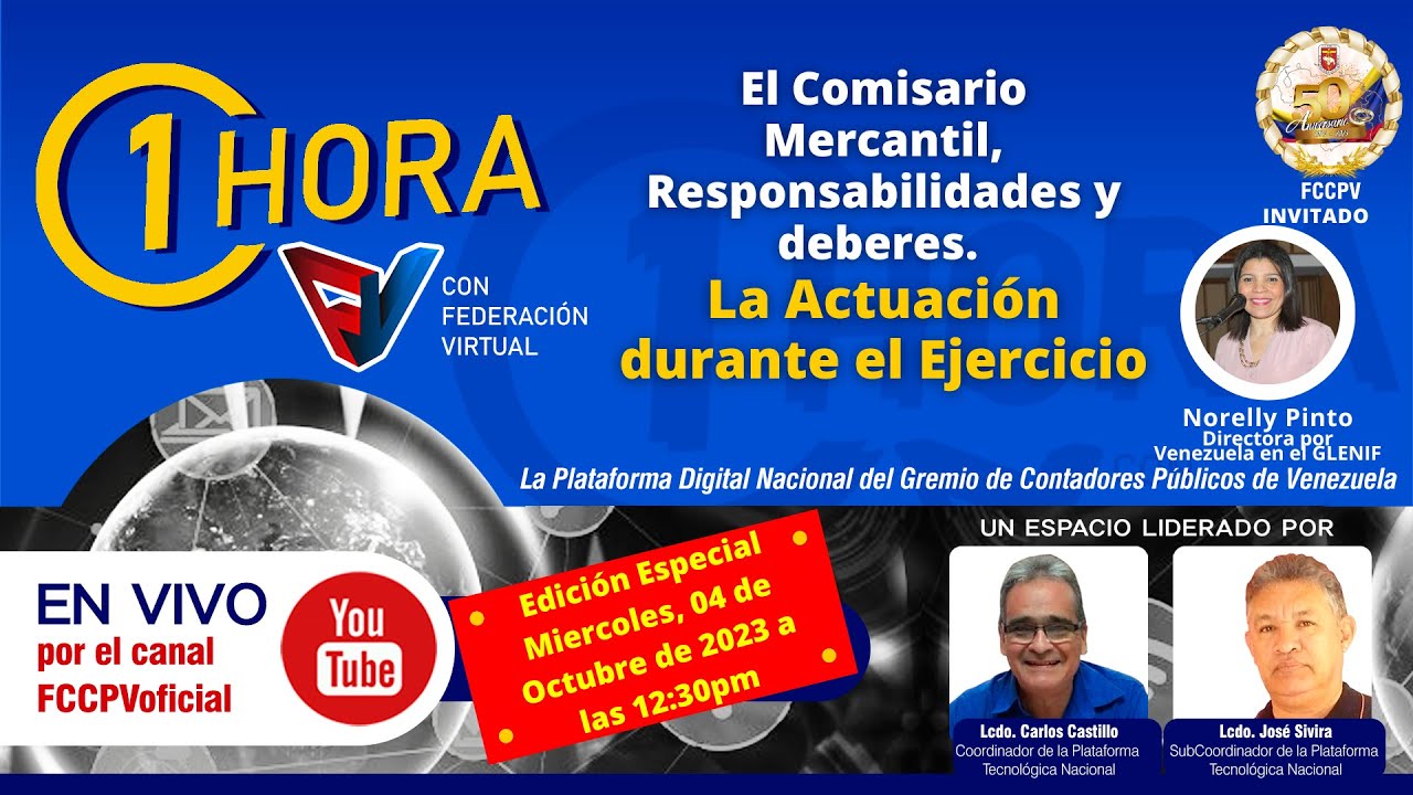 El Comisario Mercantil, Responsabilidades y deberes. La Actuación durante el Ejercicio.