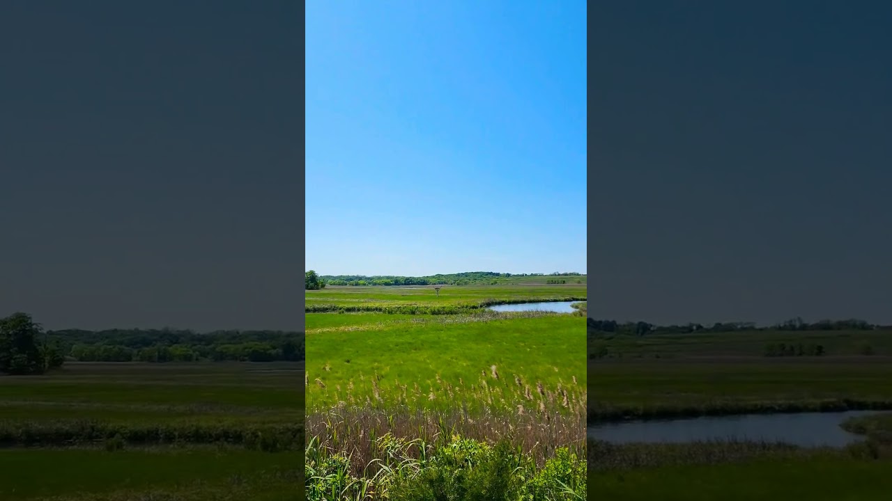 ASMR Observation Deck POV of Cheesequake Park NJ In 4K 60fps