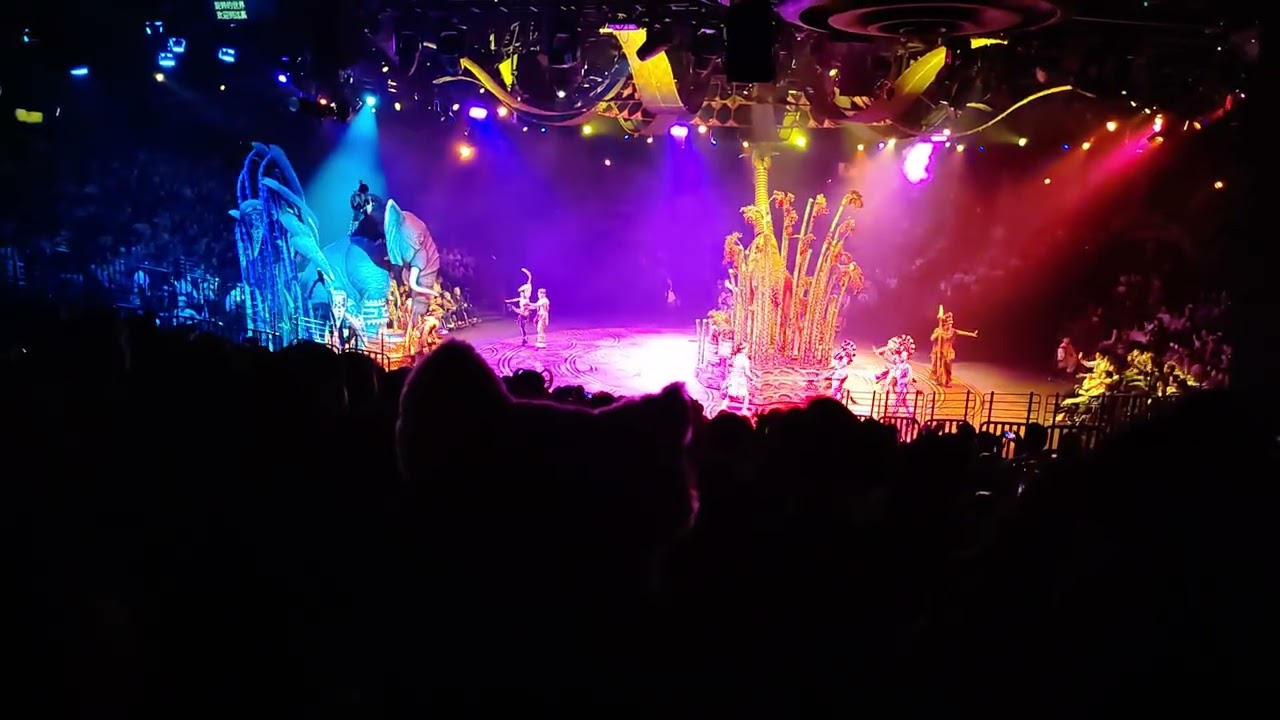 Hakuna matata #hkdisneyland