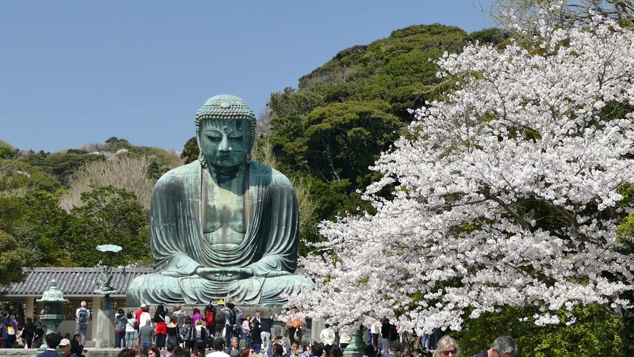 Kotokuin Temple (Daibutsu), Kamakura (1)