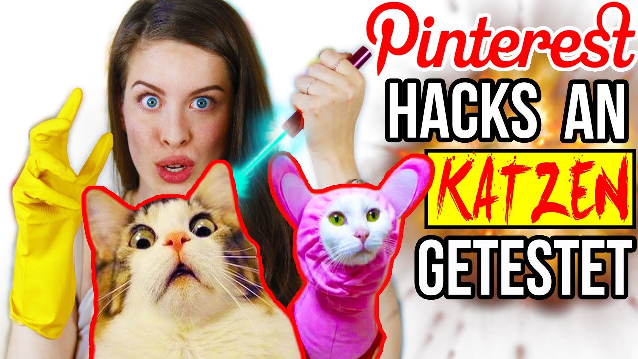 KRASSE PINTEREST HACKS AN KATZEN LIVE GETESTET! 😱 LIFE HACKS im TEST | DIY CAT & HUNDE LIFEHACKS