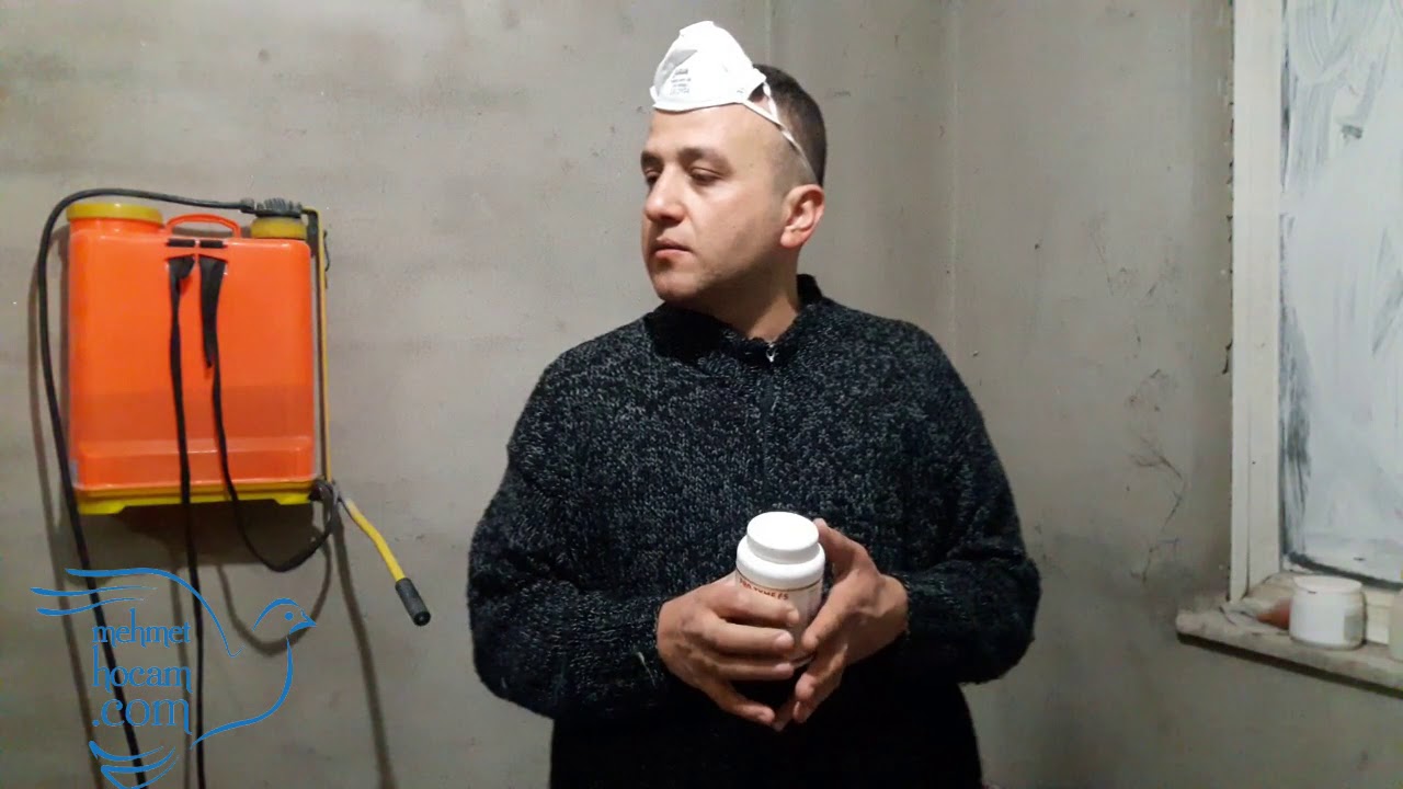 Güvercinlerde Probiyotik Kullanımı Prozyme F5