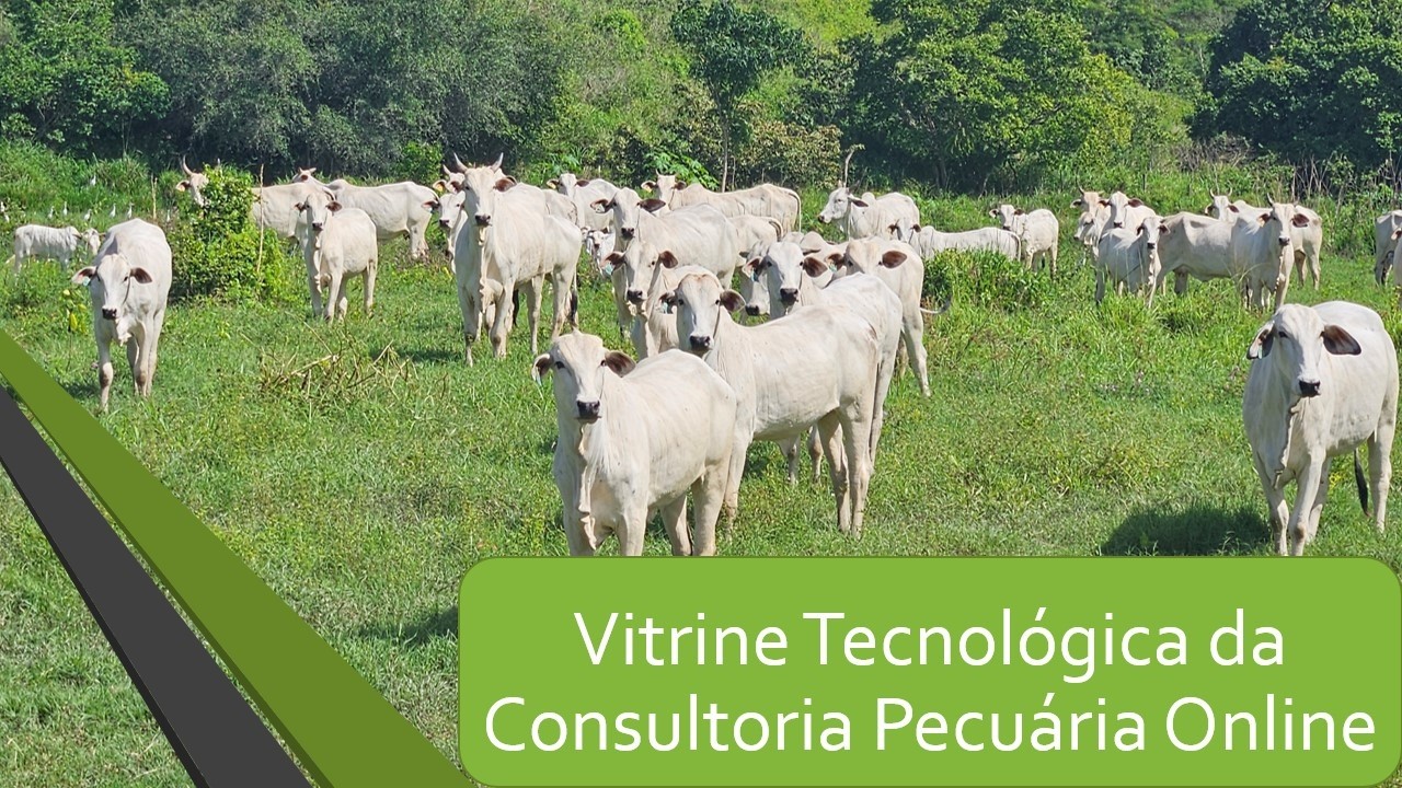 Vitrine Tecnológica da Consultoria Pecuária Online