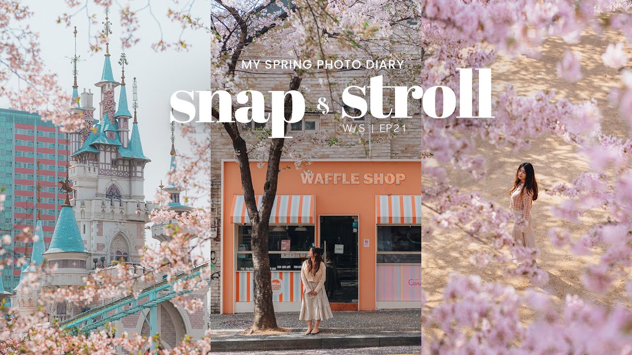 My 5 Favorite Cherry Blossom spots in Seoul | clarissaacindy
