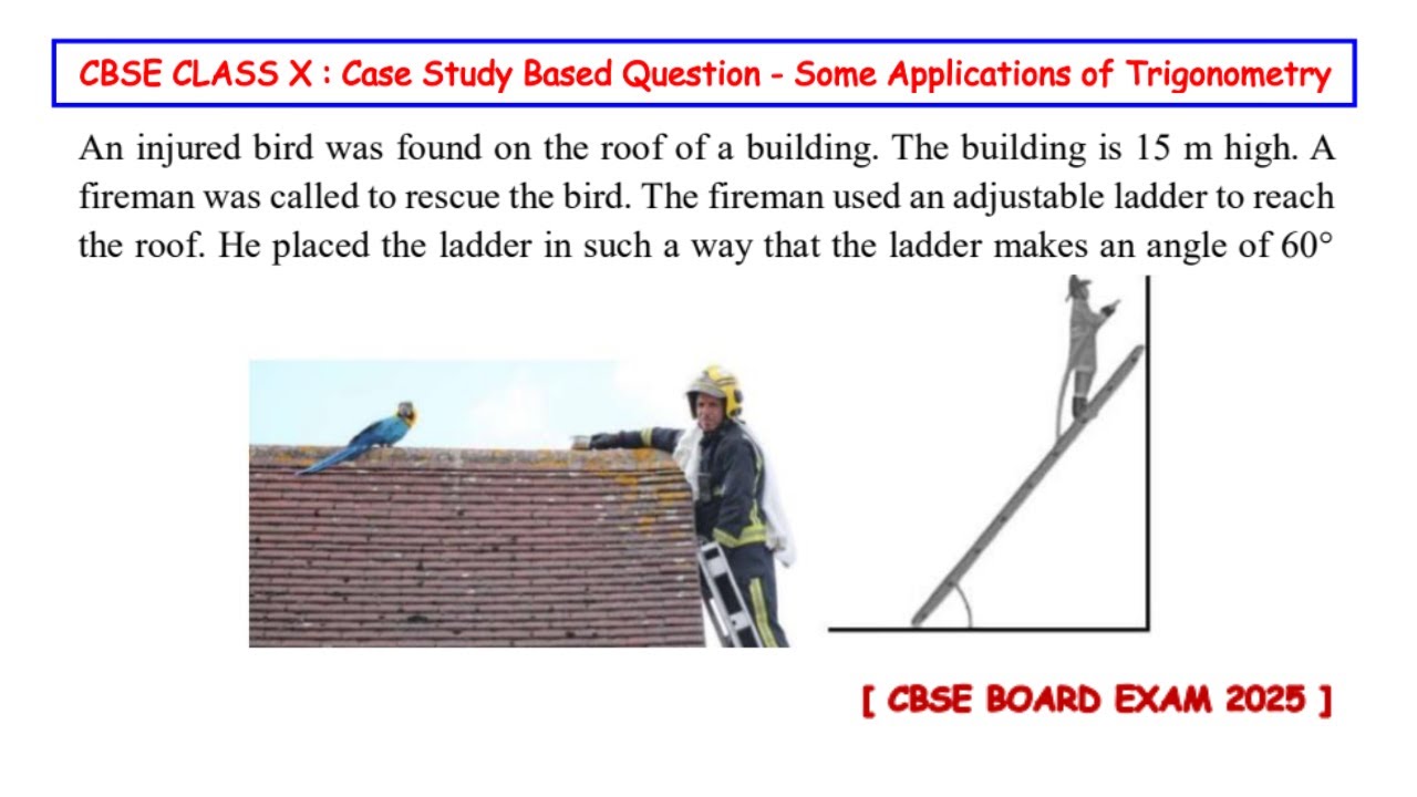 На крыше здания высотой 15 метров была обнаружена раненая птица. Вызвали пожарного.