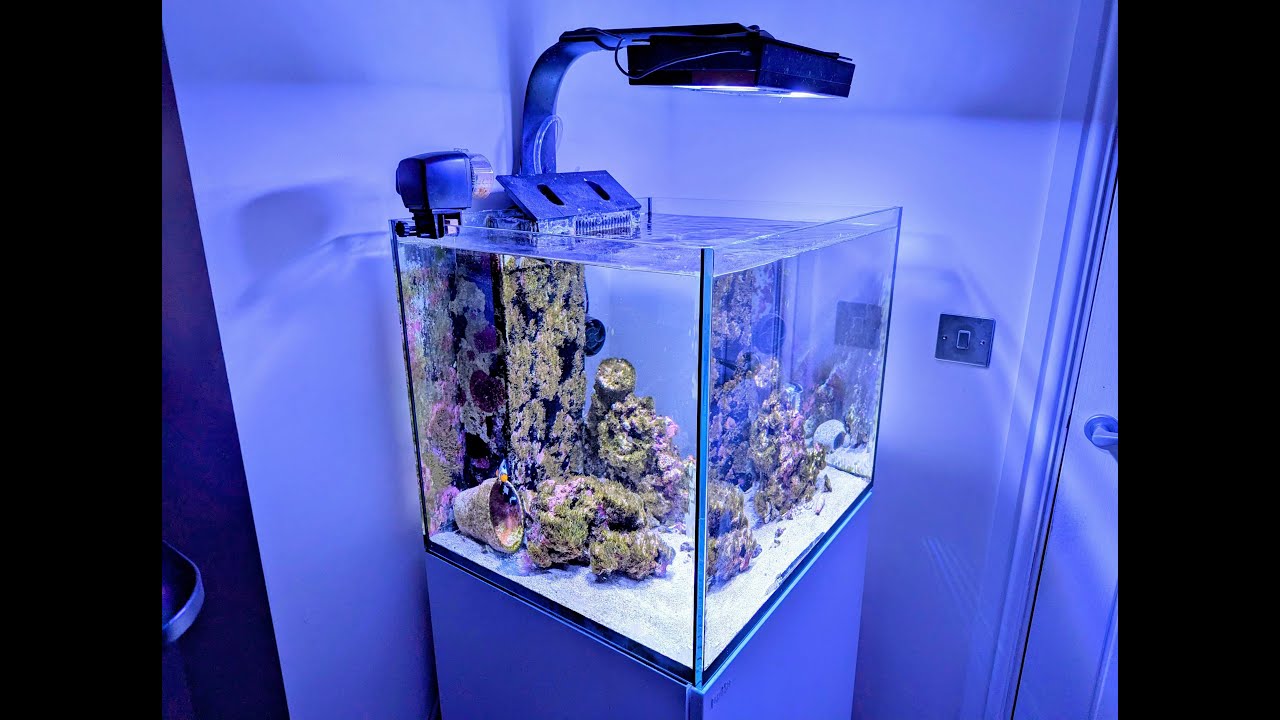 Red Sea Reefer 170 Rescue Episode 1