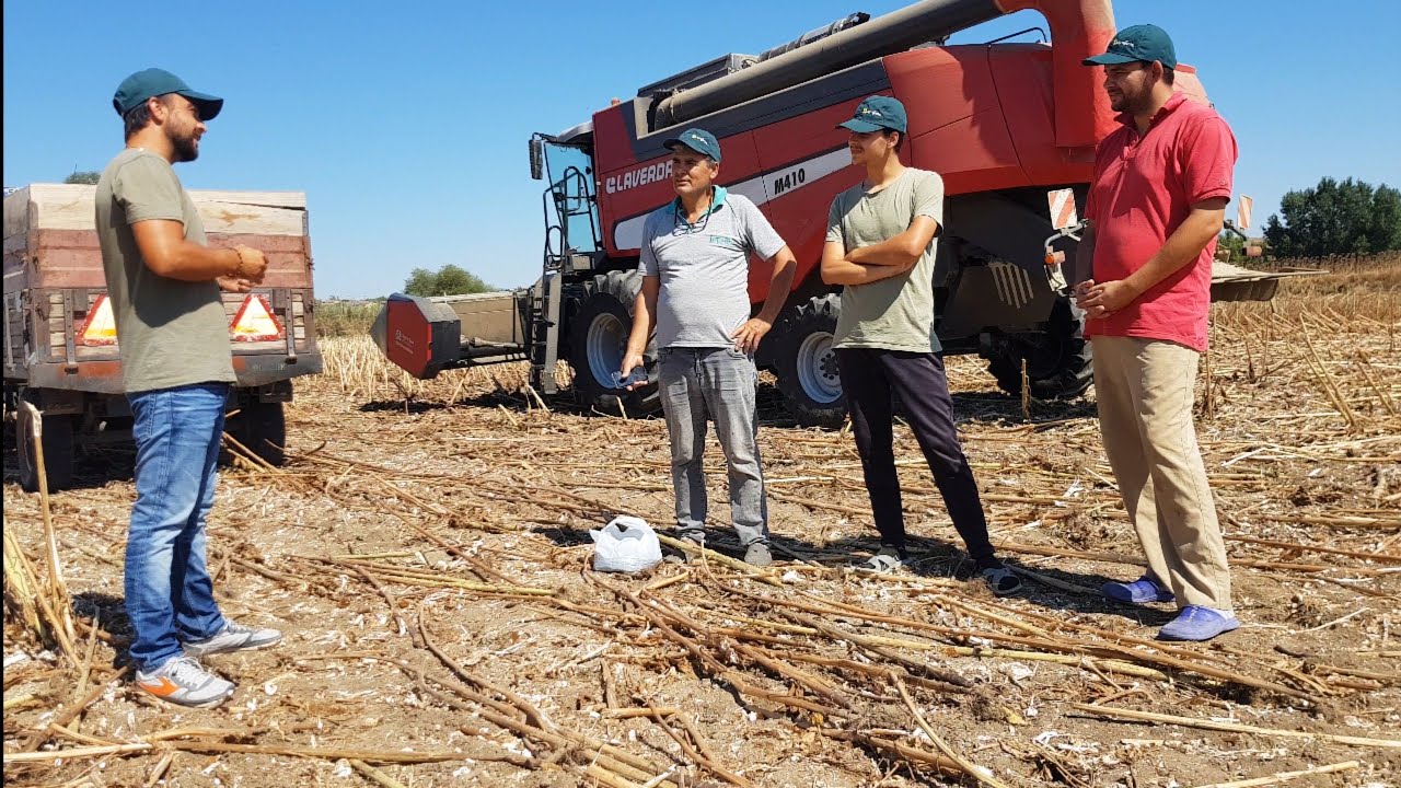 Verimi Çok Yüksek Yeni Syngenta Suffix | Syngenta İle Röportaj