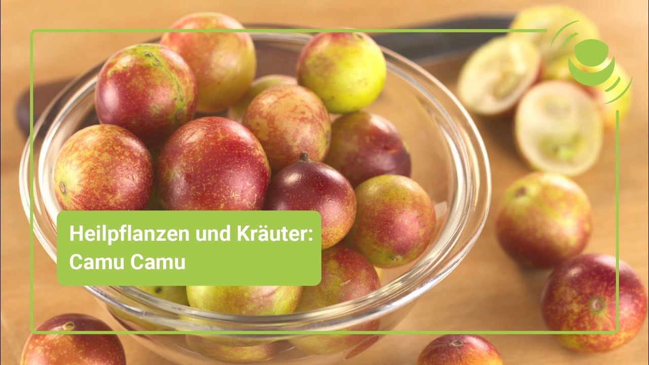 Camu Camu – Alles, was du über ihre Wirkung wissen solltest.