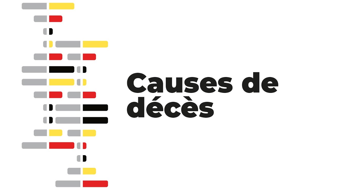 Statbel Academy | Causes de décès