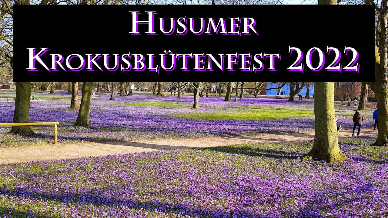 [VLOG UHD/4K] Impressionen von der Husumer Krokusbl&uuml;te 2022