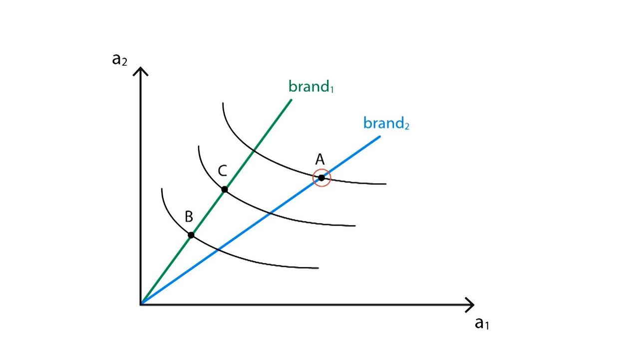 A.13 Characteristics demand | Consumption - Microeconomics