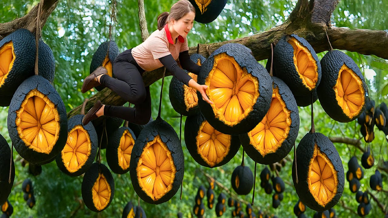 Harvesting Giant Crack Black Jackfruit, Egg Puff with Black Jackfruit Seed, Fried in Giant Oil Pan