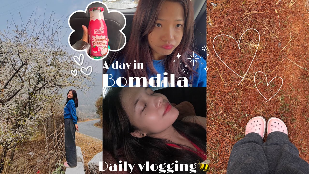 Going on a one day trip to Bomdila🌼/Spend a day with me🪴/ Daily vlogging challenge 💖