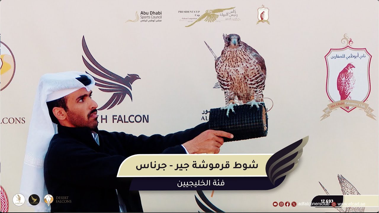 شوط قرموشة جير-جرناس-فئة الخليجيين-وتتويج الابطال في اليوم الأول -كأس رئيس الدولة للصيد بالصقور24-25
