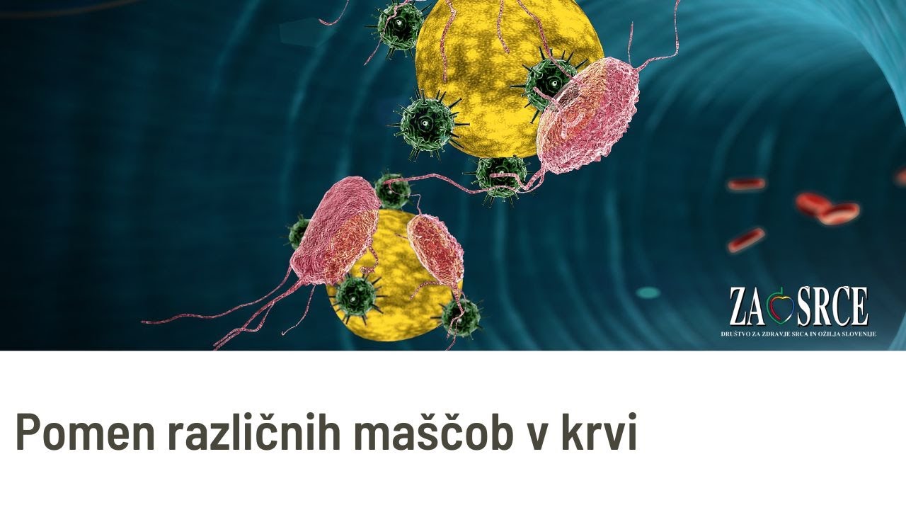 Pomen različnih maščob v krvi