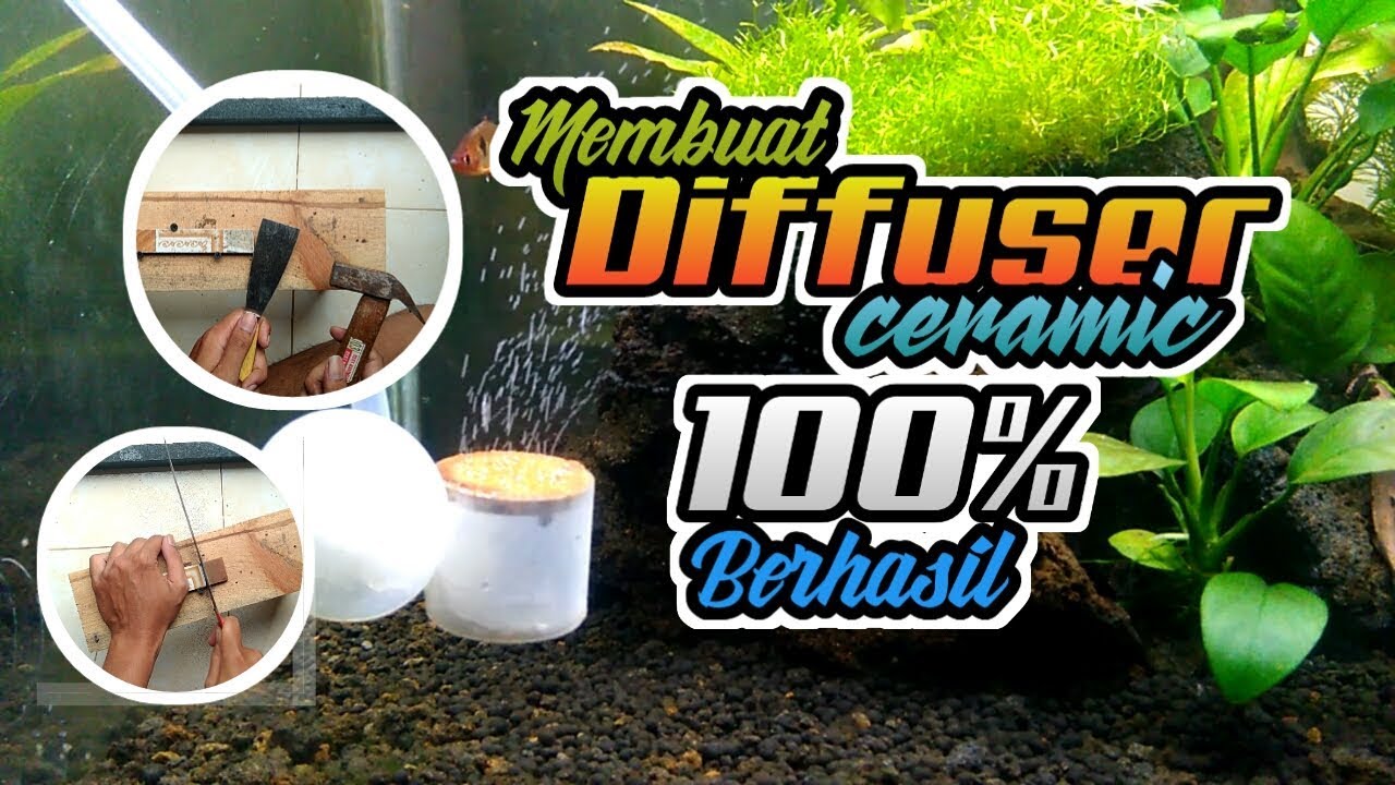 Membuat Diffuser Co2 dari keramik
