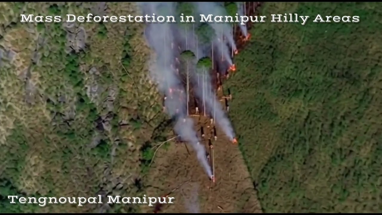 Deforestation, Poppy Cultivation & Rise of Narco Terrorisam in Manipur