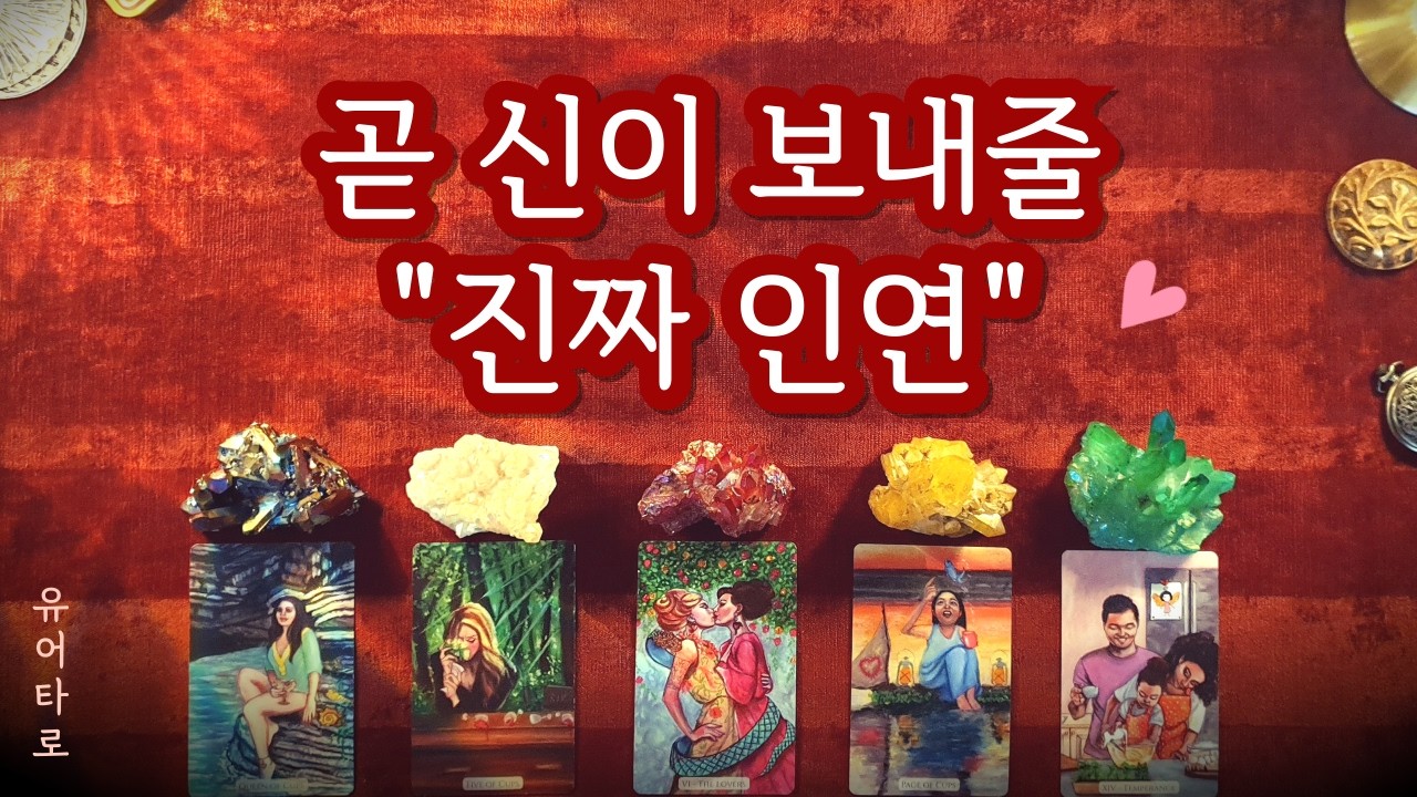 [타로] 신이 보내줄 