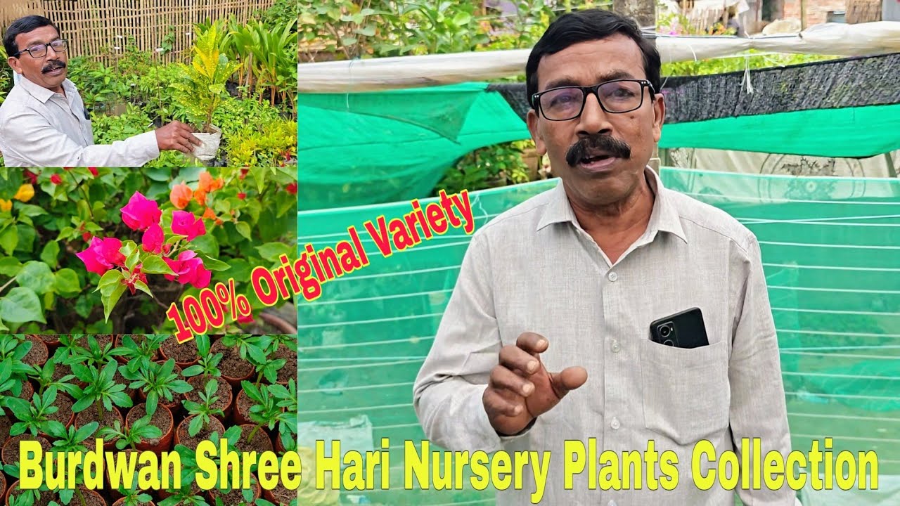 Burdwan Shree Hari Nursery Plants Collection 😲// Full Tour 2024 // #mini_gardener