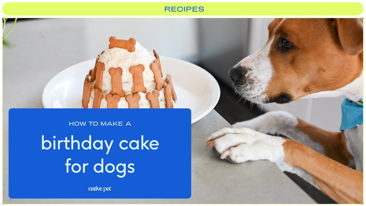 The Best Doggie Birthday Cake Recipe | Easy Cake for Dogs Recipe