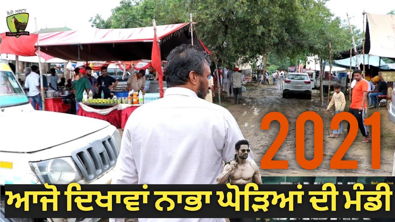 ਨਾਭਾ ਮੰਡੀ 2021,,, ਆਜੋ ਚੈਕ ਕਰੀਏ ਕਿੰਨੇ ਕਿੰਨੇ ਦੇ ਮਿਲਦੇ ਆ ਘੋੜੇ ਘੋੜੀਆਂ,, ਦੇਖੋ ਰੌਣਕਾਂ