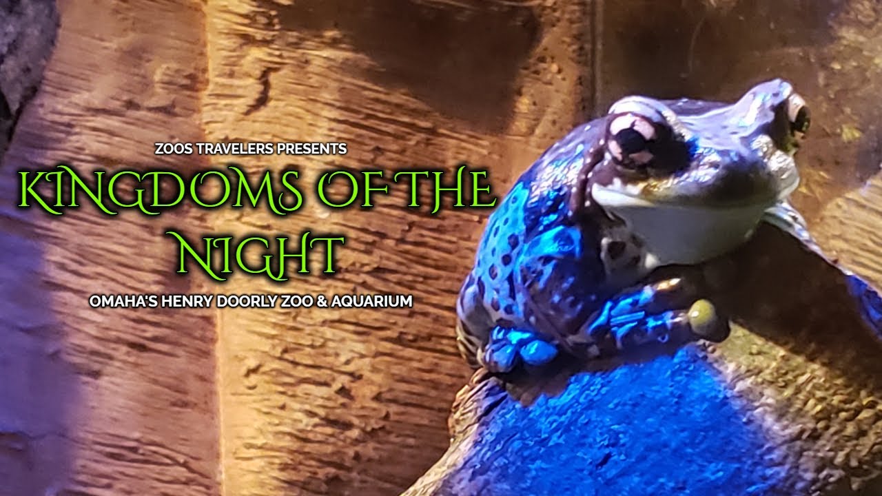 Kingdoms Of The Night | Omaha's Henry Doorly Zoo & Aquarium
