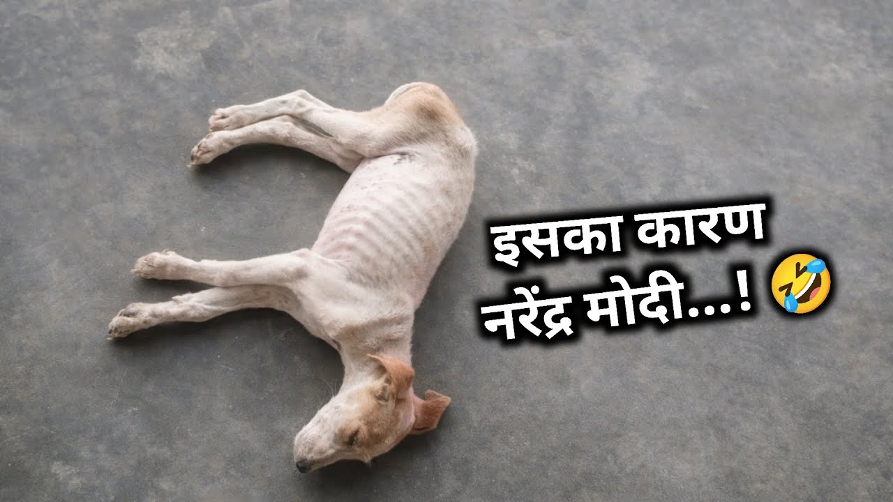 इसका कारण नरेंद्र मोदी 🤣 | iska karan narendr modi | #shorts #viral 