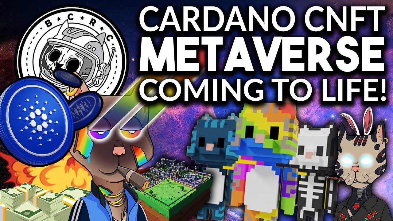 BOSS CAT ROCKET CLUB BUILDING THE ULIMATE METAVERSE!!! How You Can Be Early!
